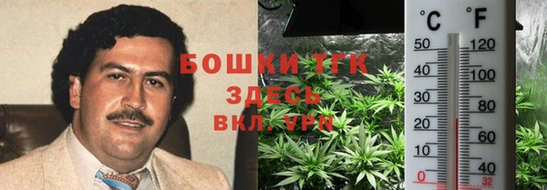 гидра Волоколамск