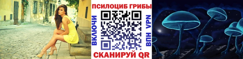 цена наркотик Петрозаводск Галлюциногенные грибы MAGIC MUSHROOMS
