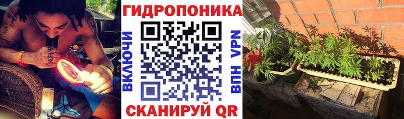 Канабис гибрид  Петрозаводск 